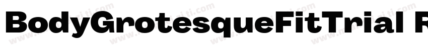 BodyGrotesqueFitTrial Reqular字体转换